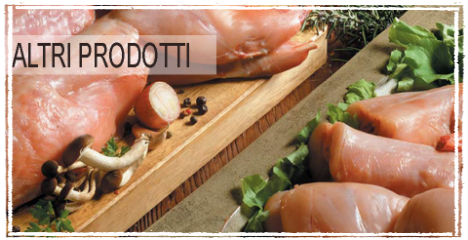 Prodotti commercializzati