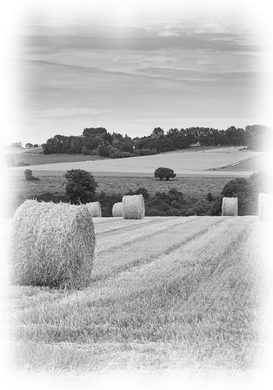 Campagna bianco e nero