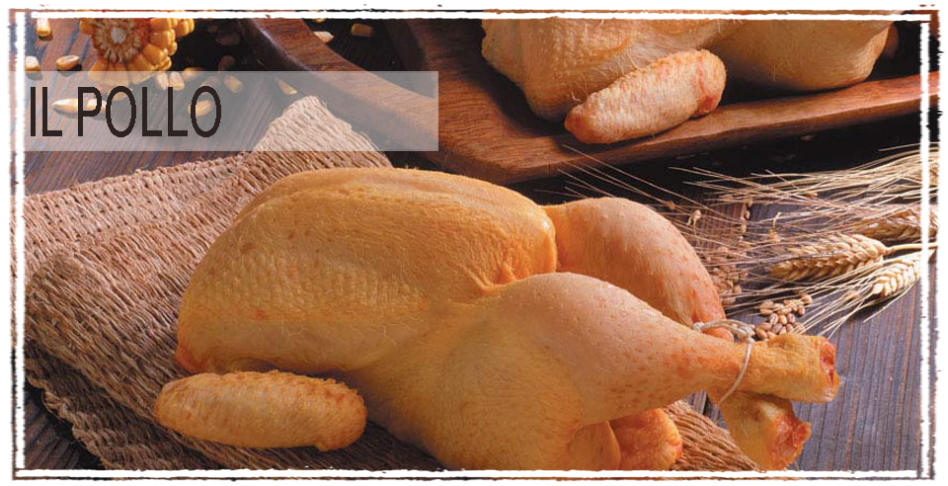 Prime e Seconde Lavorazioni di Pollo Prime e Seconde Lavorazioni di Pollo
